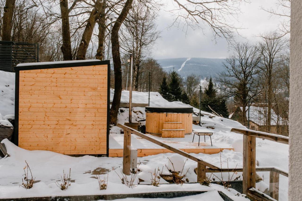 Apartamenty Larice - Podgrzewany Basen, Balia I Sauna Świeradów-Zdrój Extérieur photo