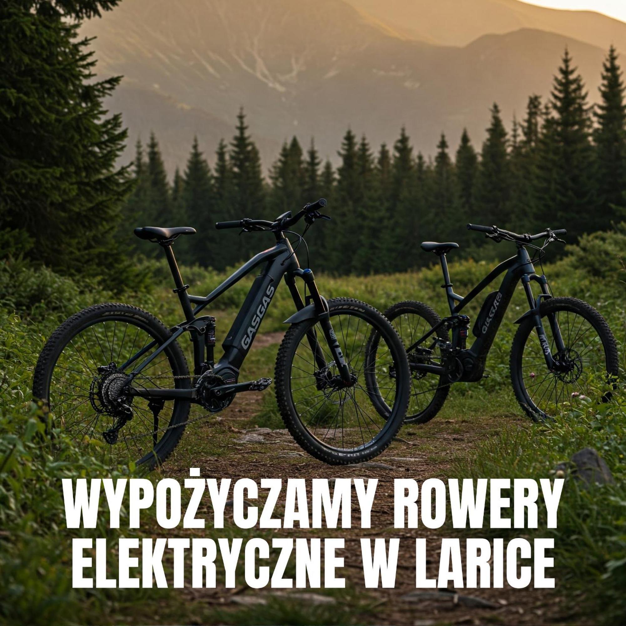 Apartamenty Larice - Podgrzewany Basen, Balia I Sauna Świeradów-Zdrój Extérieur photo